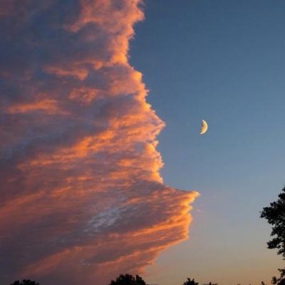 天博体育官方平台入口下载手机版截图